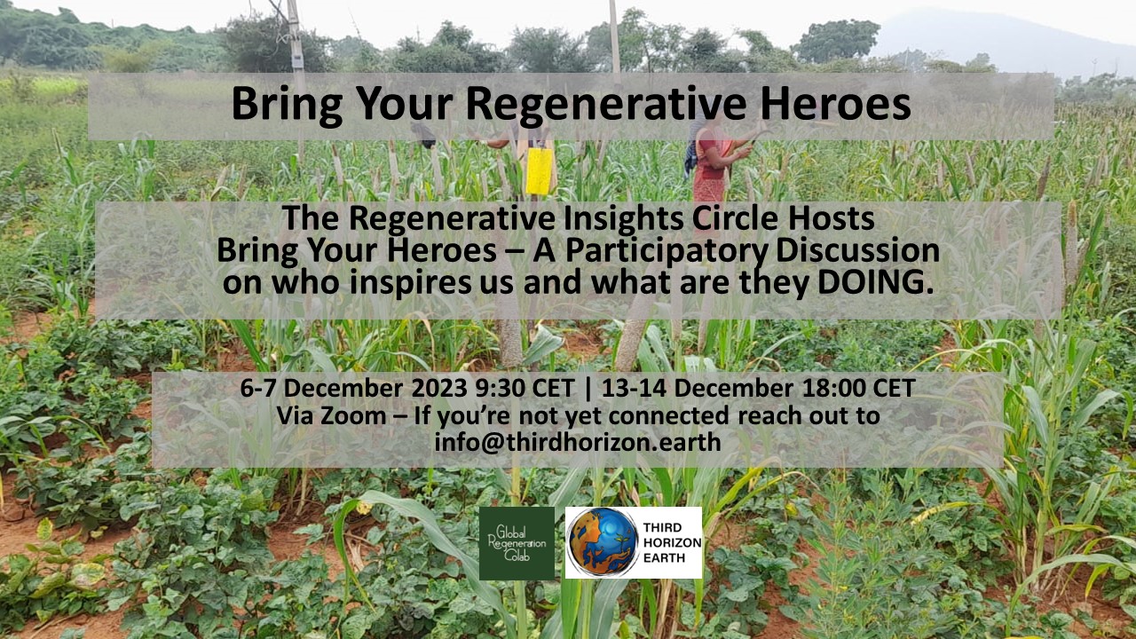 Regenerative Insights Circle Bring your Heroes
