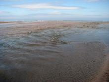 River meets the sea