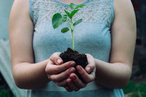 Woman with seedling