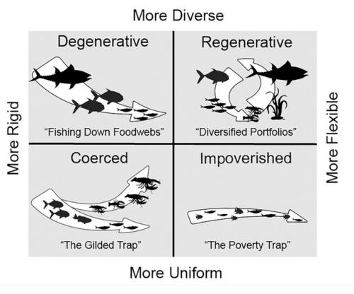 Marine Regeneration Modalities