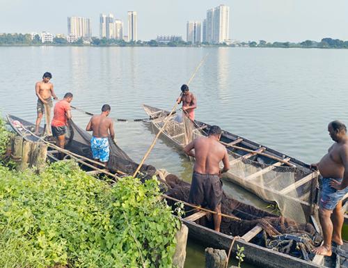 Fishers on boats