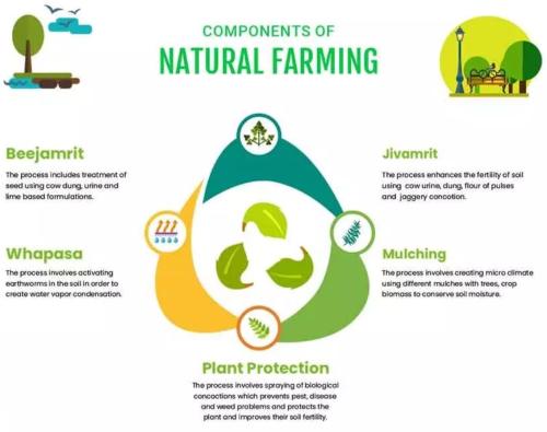components of natural farming