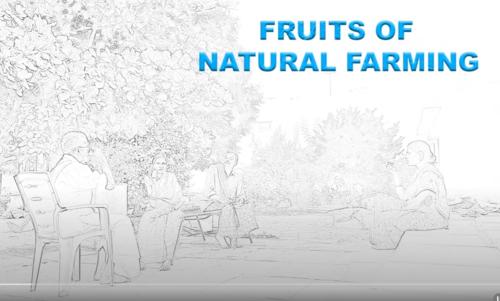 Fruits of natual farming