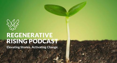 Regenerative rising podcast