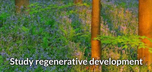 Regenerative Development
