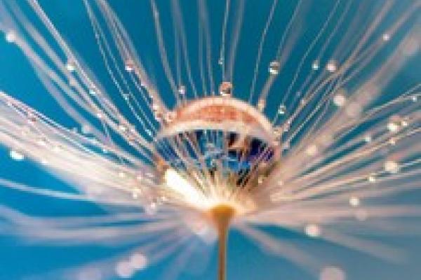 Info Session Graphic