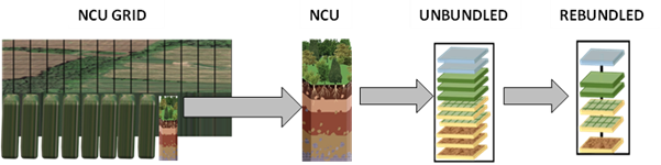 NCU Decomposed