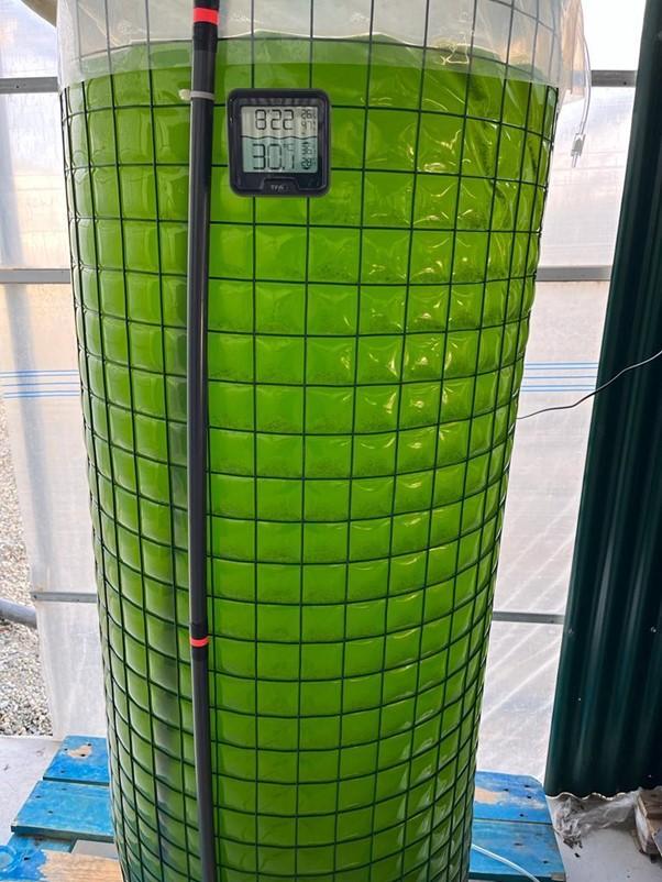 algae reactor