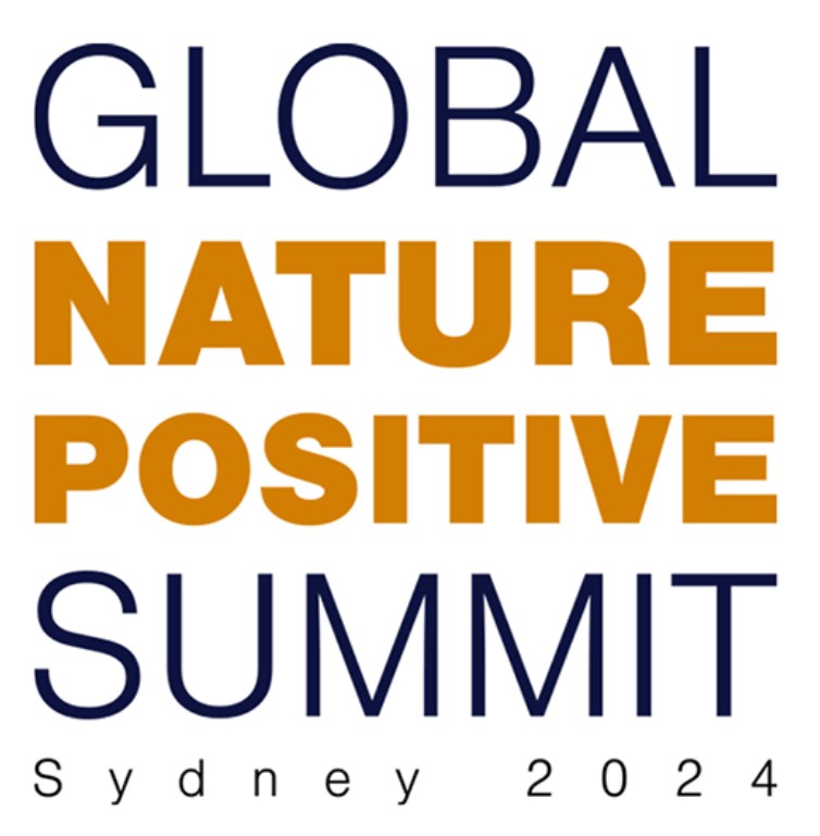 Nature positive summit screen grab