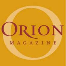 Orion magazine