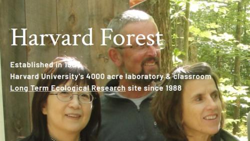 Harvard forest screen grab