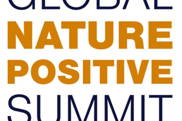 Nature positive summit screen grab